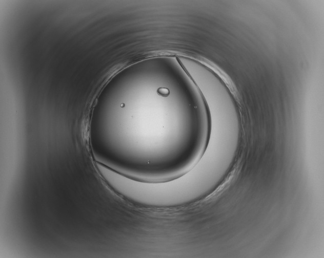 X0000101440809200807211211