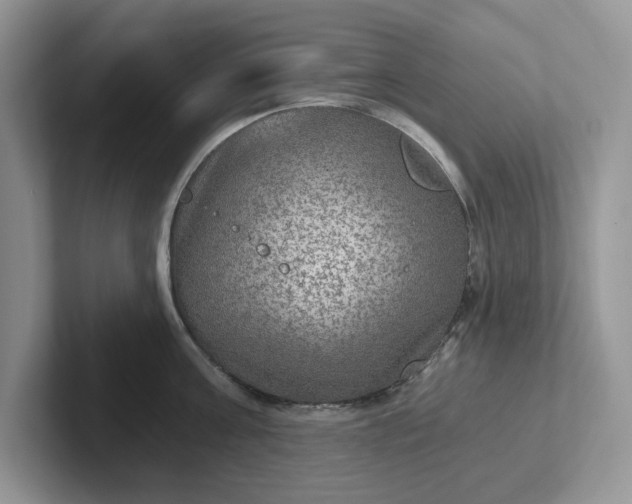 X0000101440811200807211211