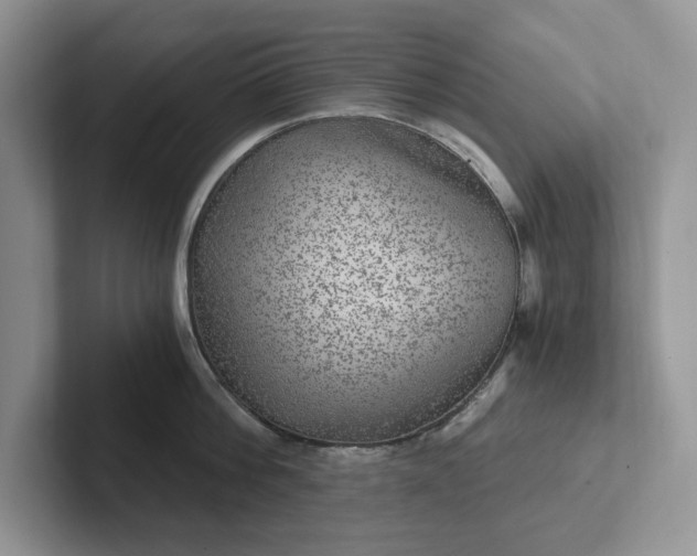 X0000101440812200807211211