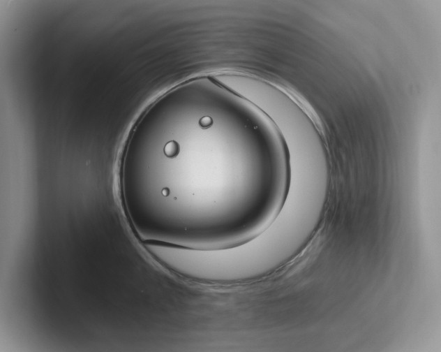 X0000101440813200807211211