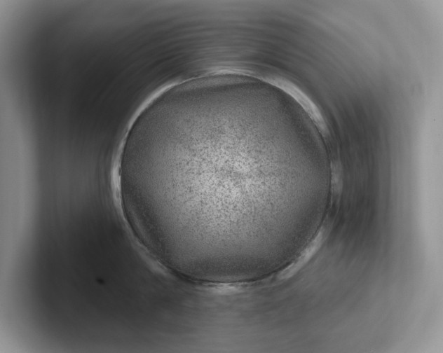 X0000101440814200807211211