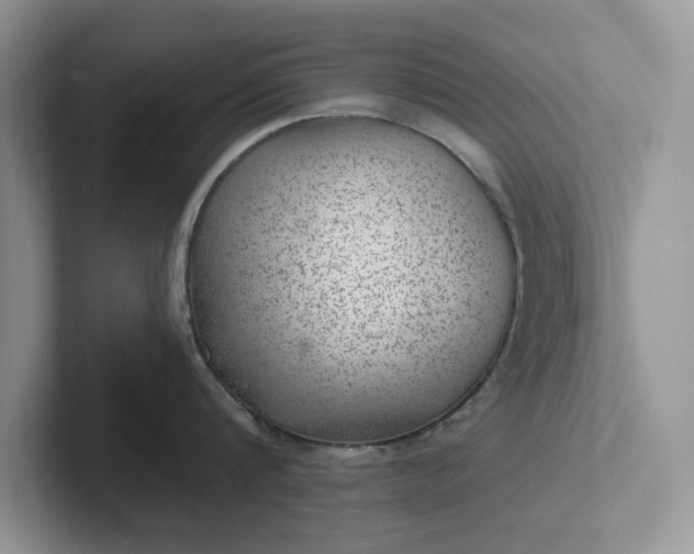 X0000101440816200807211211