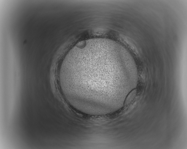 X0000101440817200807211210