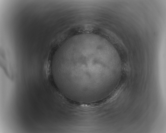 X0000101440818200807211210