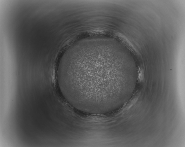 X0000101440819200807211210