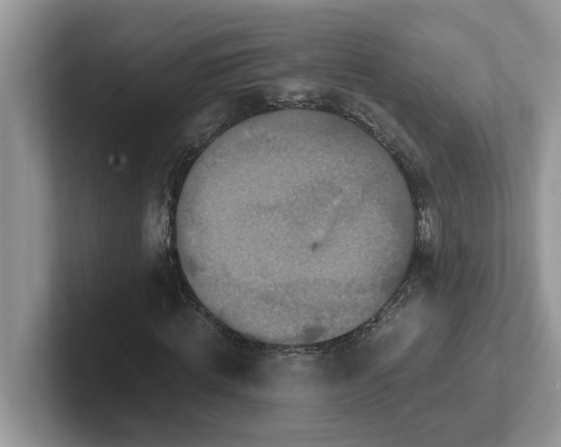 X0000101440820200807211210