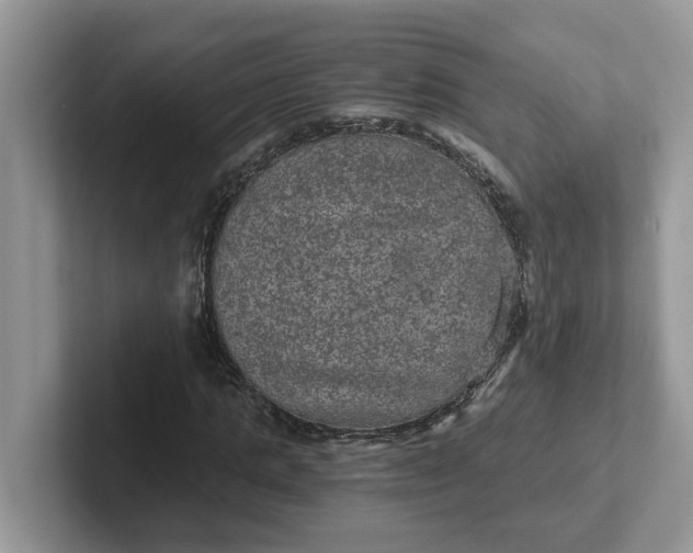 X0000101440821200807211210