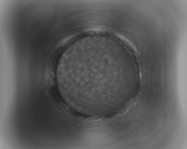 X0000101440822200807211210