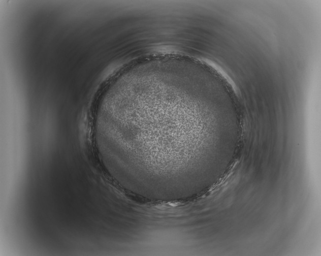 X0000101440823200807211210