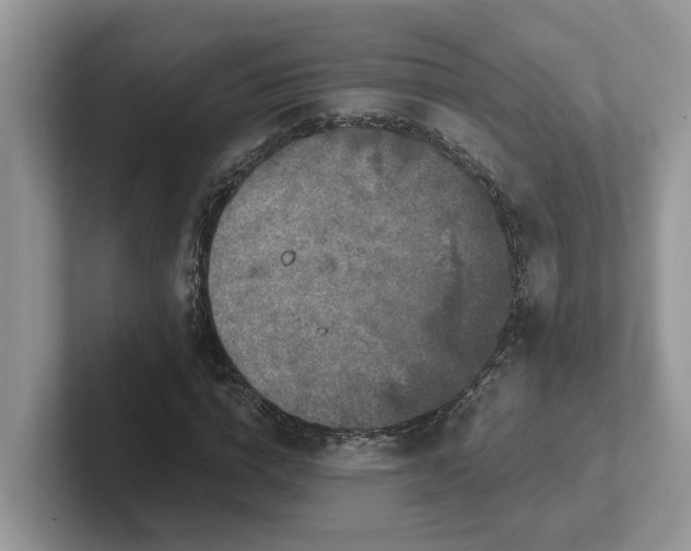 X0000101440824200807211210