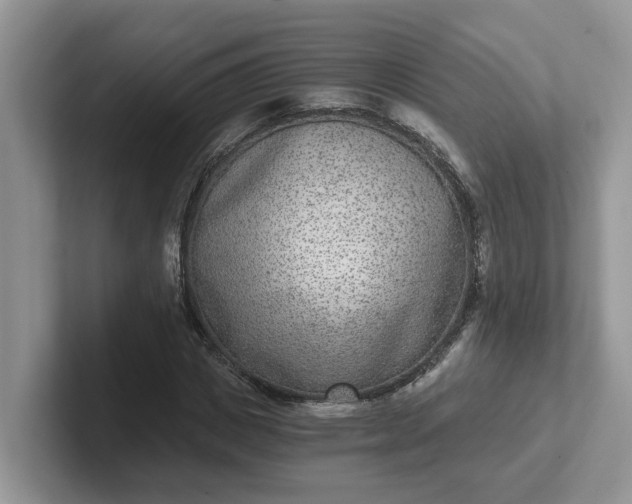 X0000101440825200807211210