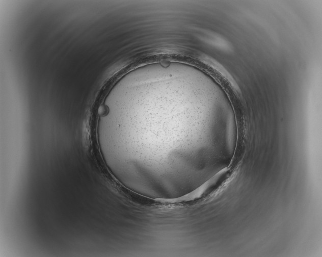 X0000101440826200807211210