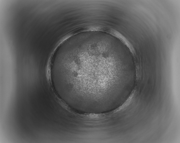 X0000101440827200807211210