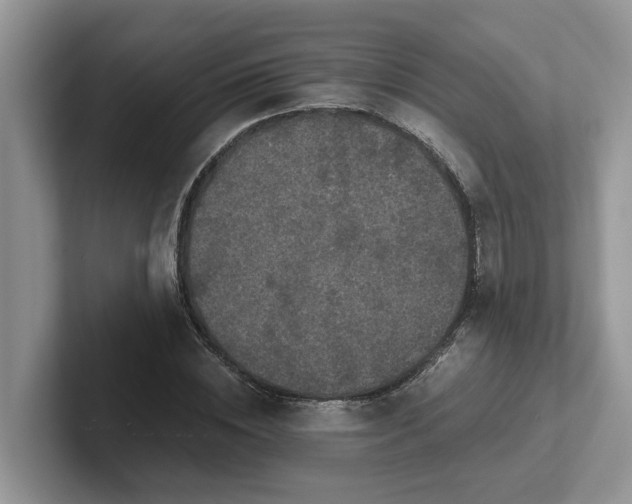 X0000101440828200807211210