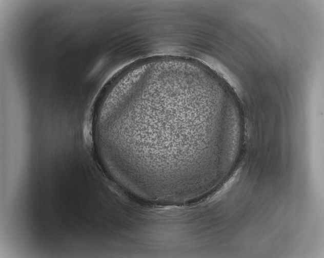 X0000101440830200807211210