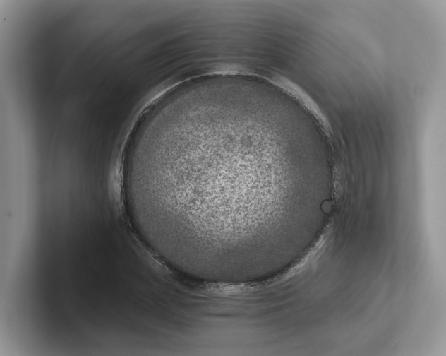 X0000101440831200807211210