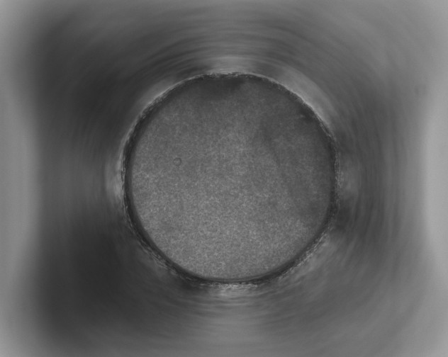 X0000101440832200807211210