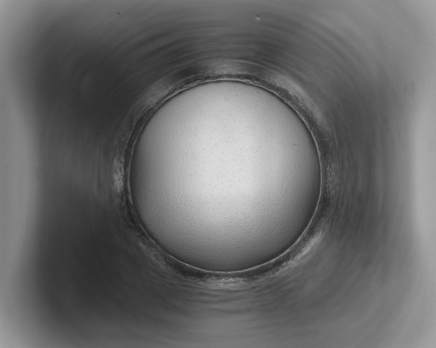 X0000101440833200807211210