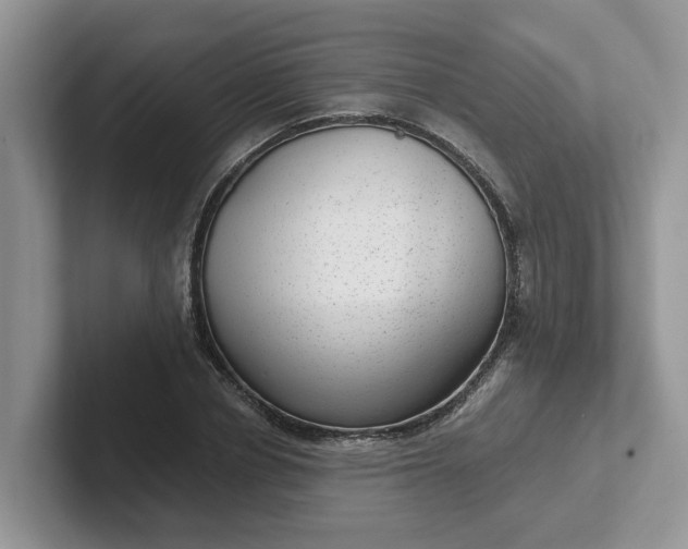 X0000101440834200807211210