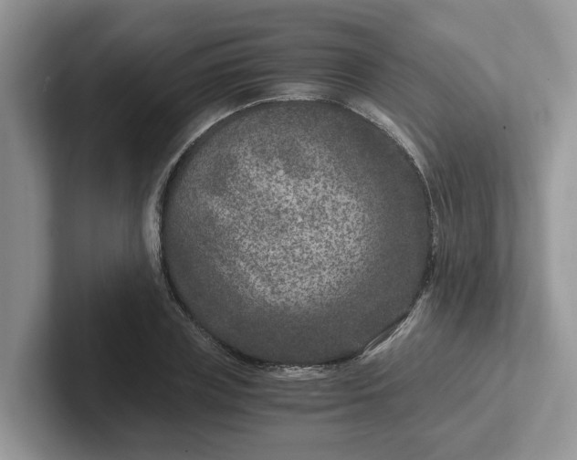 X0000101440835200807211210