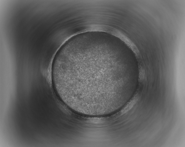 X0000101440836200807211210