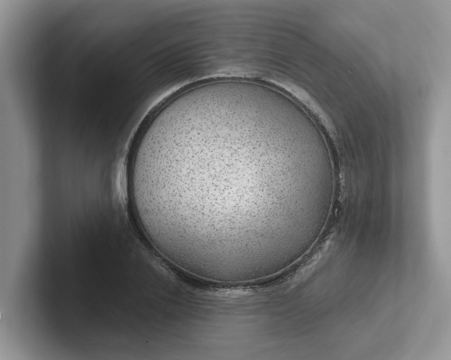 X0000101440838200807211210