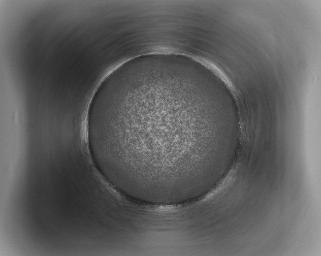 X0000101440839200807211210