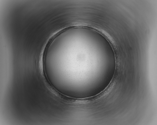 X0000101440840200807211210