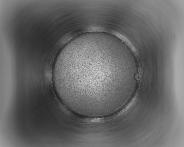 X0000101440841200807211210