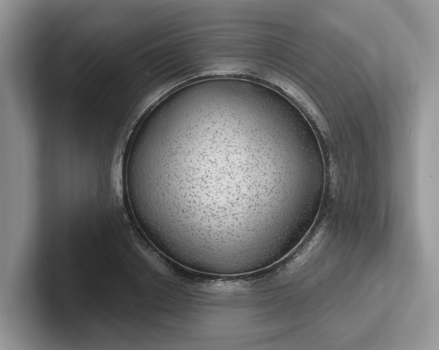 X0000101440842200807211210