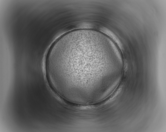 X0000101440843200807211210