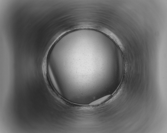 X0000101440844200807211210