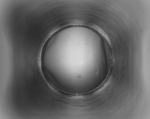 X0000101440845200807211210