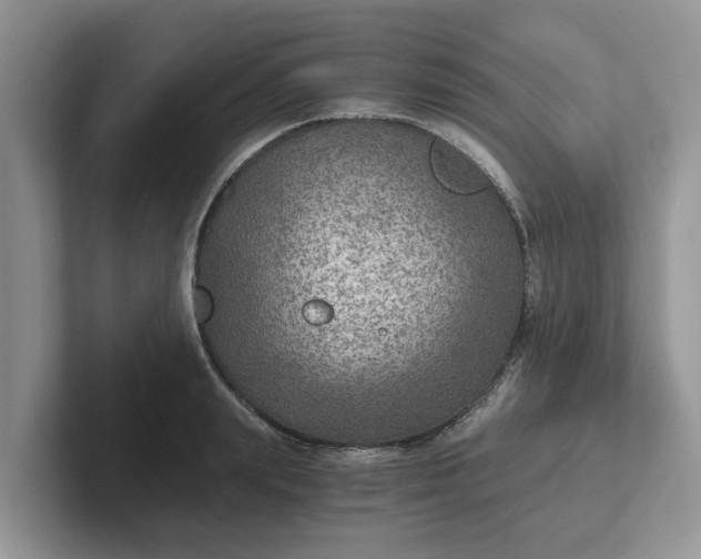 X0000101440847200807211210