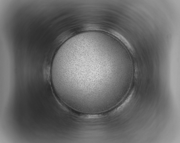 X0000101440849200807211210