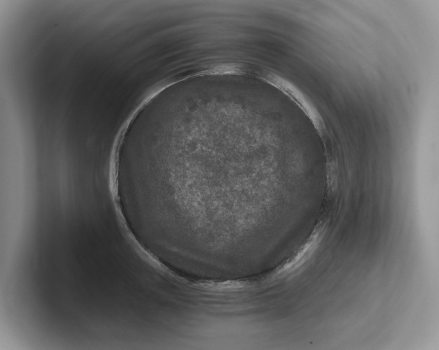 X0000101440851200807211210