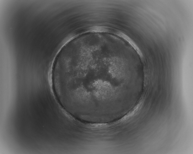 X0000101440853200807211210