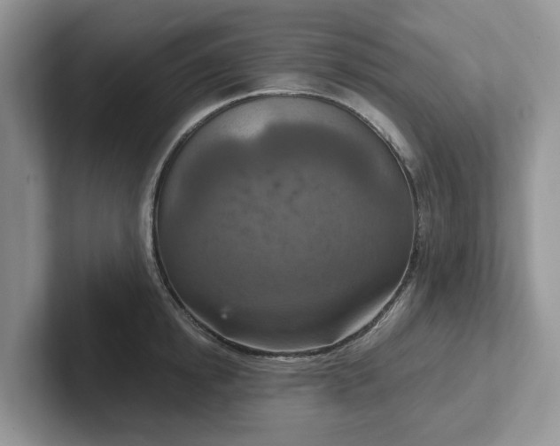 X0000101440854200807211210