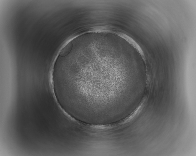 X0000101440855200807211210