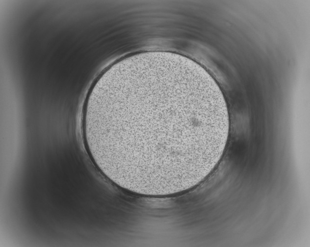 X0000101440856200807211210