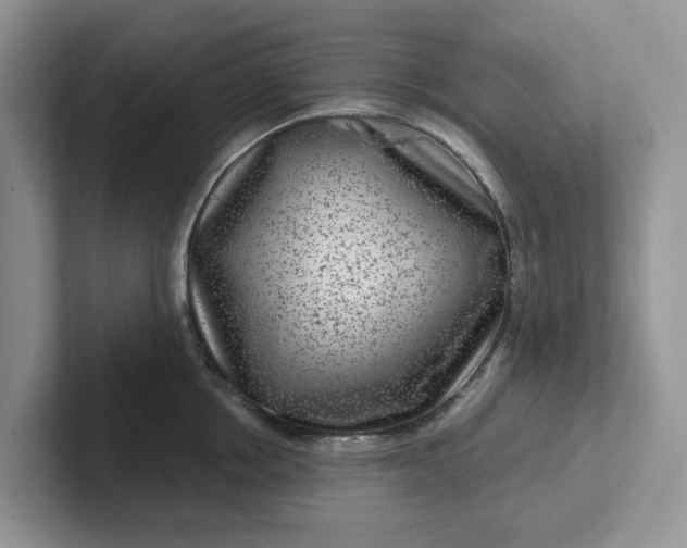 X0000101440858200807211210