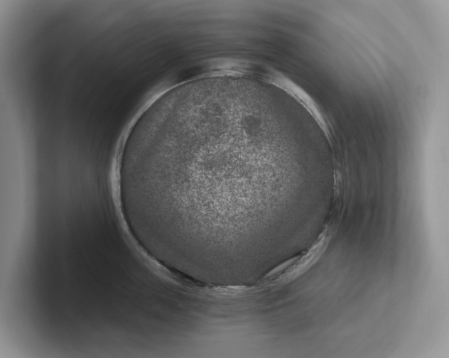 X0000101440859200807211210