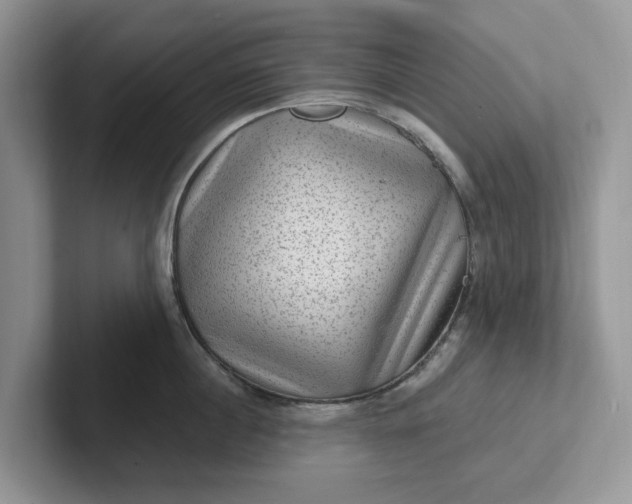 X0000101440860200807211210