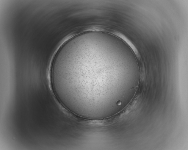 X0000101440861200807211210