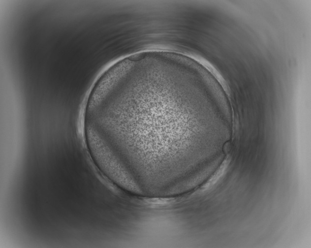 X0000101440862200807211211