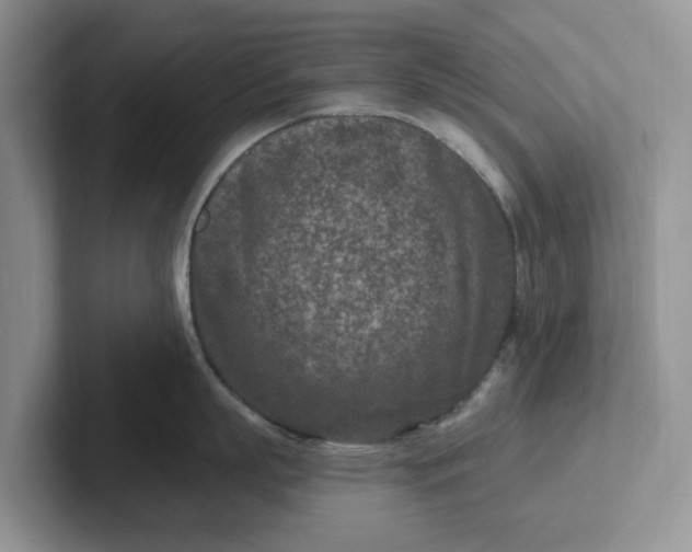 X0000101440863200807211211