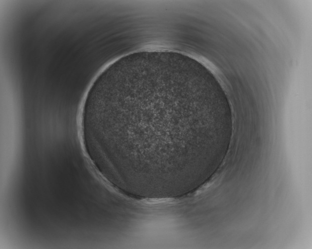 X0000101440864200807211211