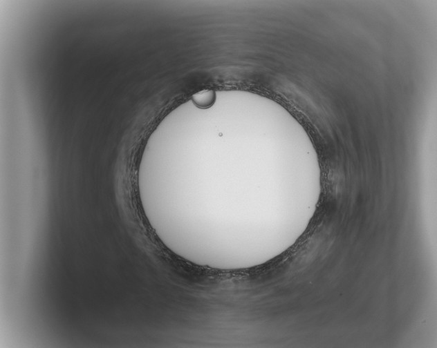 X0000101440865200807211210