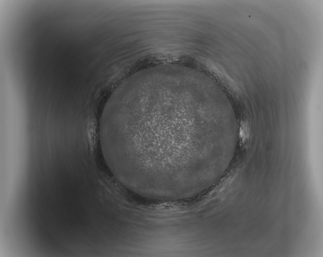 X0000101440867200807211210