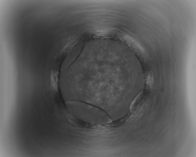 X0000101440868200807211210